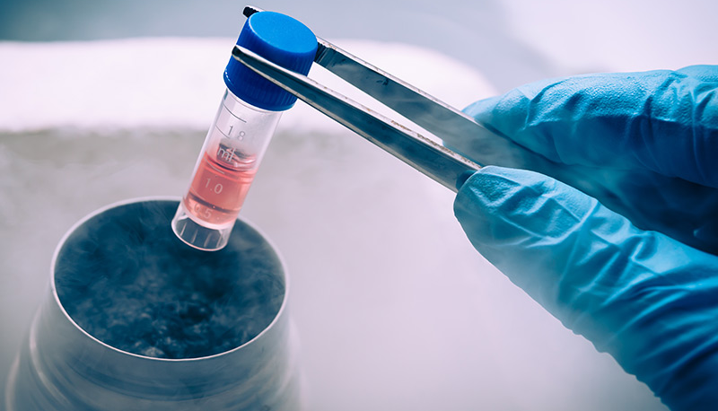 Vacas produzem anticorpos capazes de impedir infecção por HIV